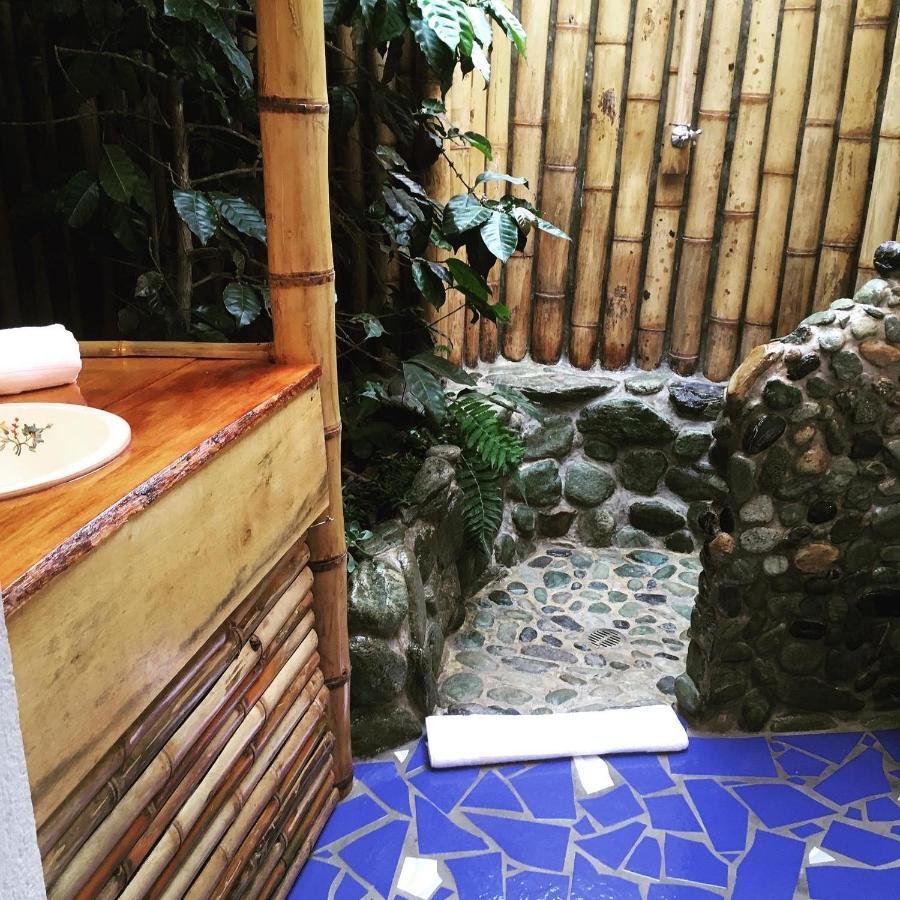 Finca Flora Del Rio, Habitacion Las Orquideas Pijao المظهر الخارجي الصورة